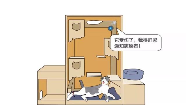 如何做一个定制猫窝，如何制作一个猫窝（看百度工程师研发的流浪猫智能猫窝）