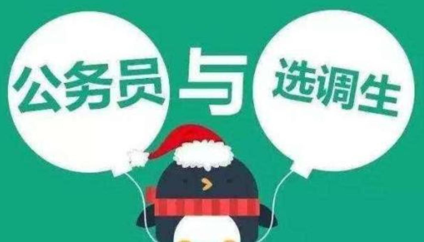 选调生学校（选调生比公务员晋升快）