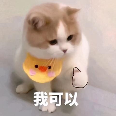 怎样是合格的6个月银行流水，规定如下（”贷款被拒，这份干货要收好）