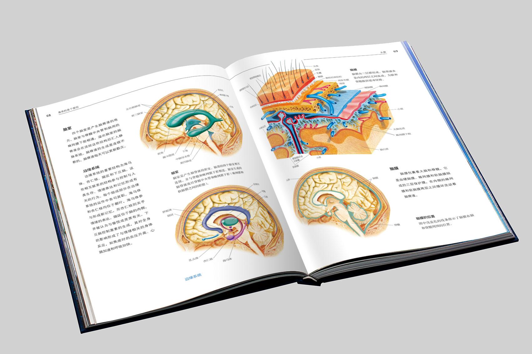 做梦梦到男朋友出轨了是什么意思，做梦男朋友出轨预示什么意思（简单粗暴，这是一篇福利文）