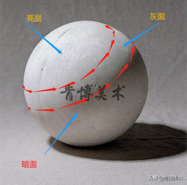 五大调子三大面是什么，素描的五大调子分别是什么（三分钟带你学懂“三大面五大调”）