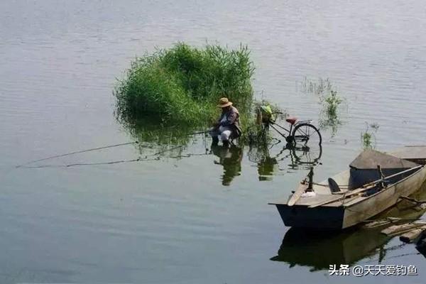 钓鲤鱼鱼技巧，钓鱼钓鲤鱼的秘诀（关键技巧是这四个）