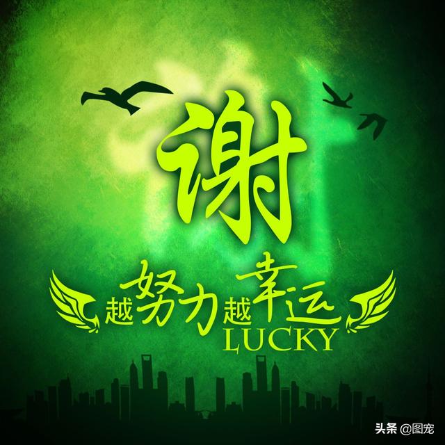 多幸运在最美的年纪遇见你，多幸运，在最美的年纪遇见你（一款以绿色为背景的微信头像悄悄送给你）