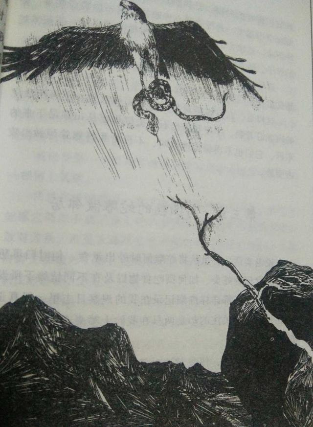 鸟奴好词好句好段，鸟奴好词好句好段摘抄（《鸟奴》：看的是鸟，说的是人）