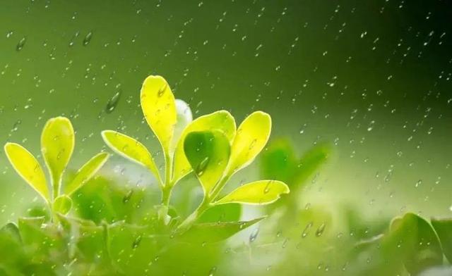 什么的天气填合适词语，什么样的天气形容词（下雨的天气）