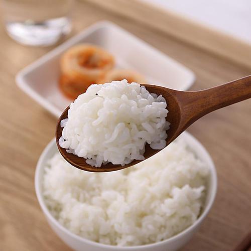 泰迪吃什么食物好，适合泰迪狗的食物（泰迪犬也能喂“人食”）