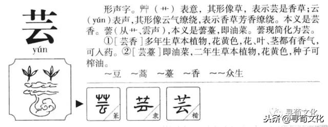 云字五笔怎么打，逐字五笔怎么打字（云、妘、陨、芸、员-汉字的艺术与中华姓氏文化荀卿庠整理）