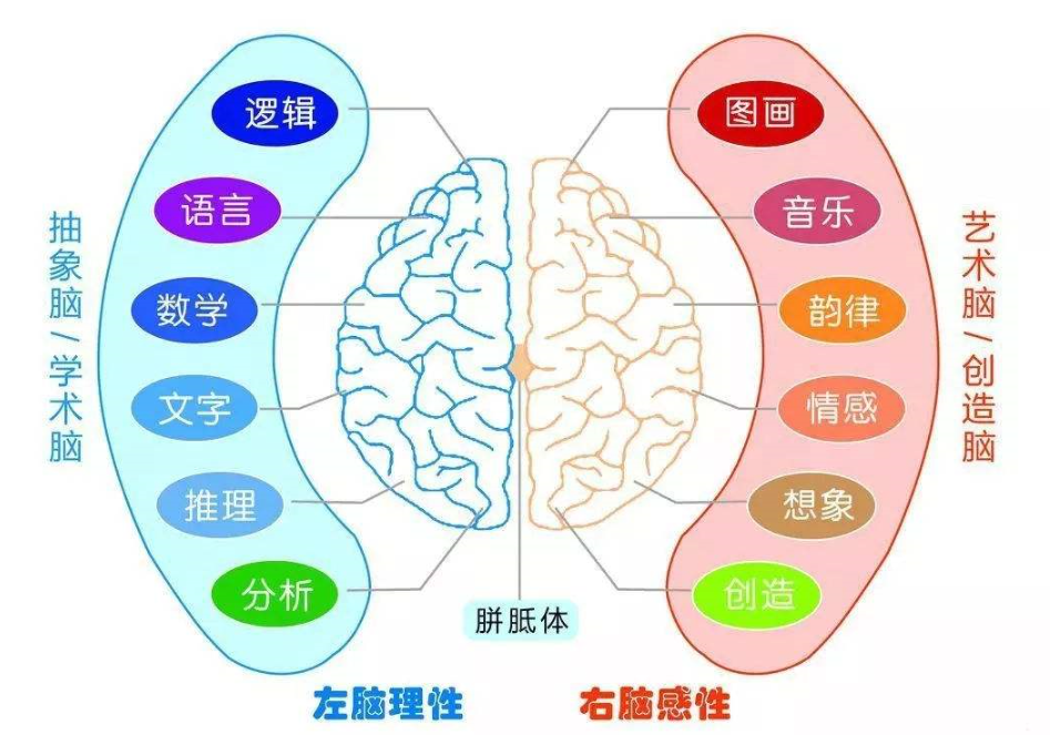 开发儿童右脑智力的10个方法，怎样开发孩子的智力特别是右脑（家长学会这3个小技巧）