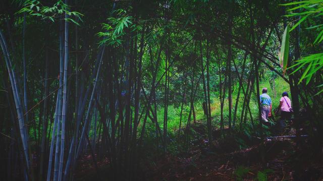 云浮有什么著名的土特产，云浮有什么著名的土特产美食（广东游记：我的云浮旅游攻略）