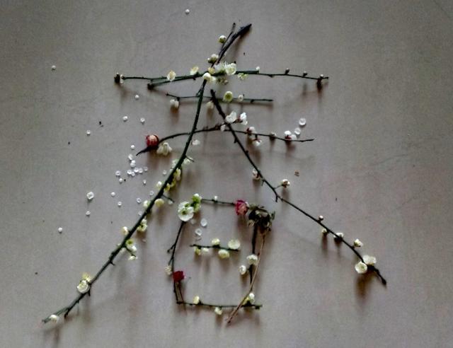 描写春花的诗句，描写春花的诗句有哪些（春风春花春雨春草春阳春树）