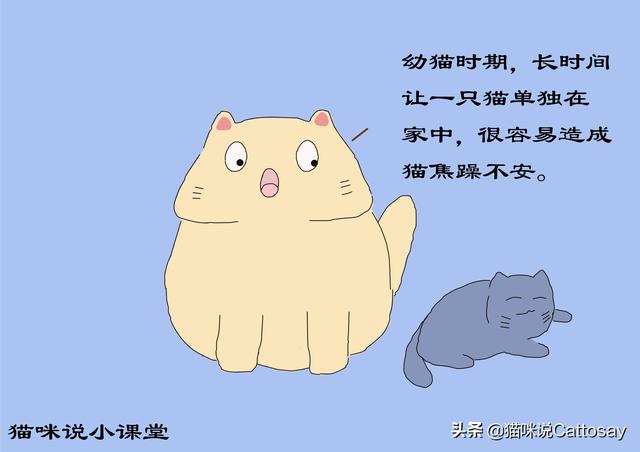 家里养了两只猫，总是打架怎么办（同时养2只幼猫的利弊）