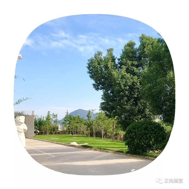 武汉大学艺术学院，武汉大学的音乐学院怎末样（武汉大学2019年艺术类招生简章）