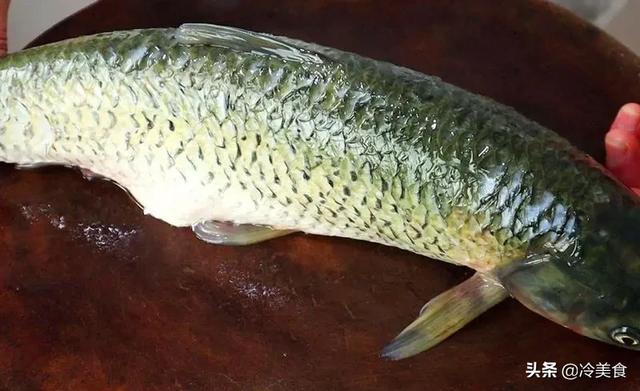 草鱼汤怎么炖好喝又营养丰富，鲜美可口还没有腥味