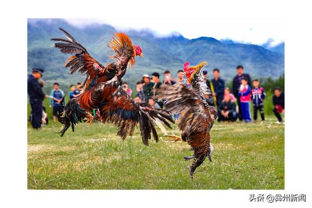 jkmtl00是什么型号，jkmal00是什么型号的（2020年凉山第二届全民手机摄影大展作品欣赏）