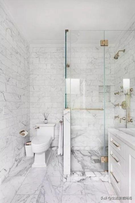 霸王芋，卫生间潮湿、发霉、不通风（霸王芋的养殖方法和注意事项）