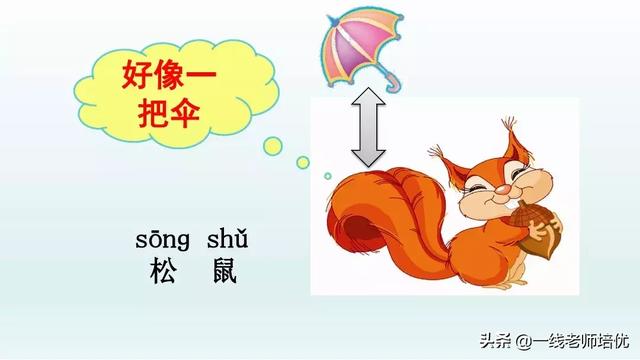 带有提手旁的字大多与什么有关，提手旁的字有哪些（部编版小学语文一年级上册第6课《比尾巴》重点知识+图文解读）