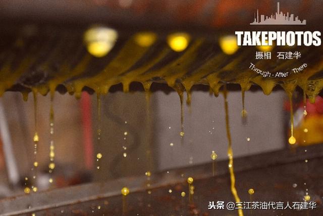 茶籽油的食用方法，茶油的功效与作用及食用方法（分享给爱美的小姐姐）