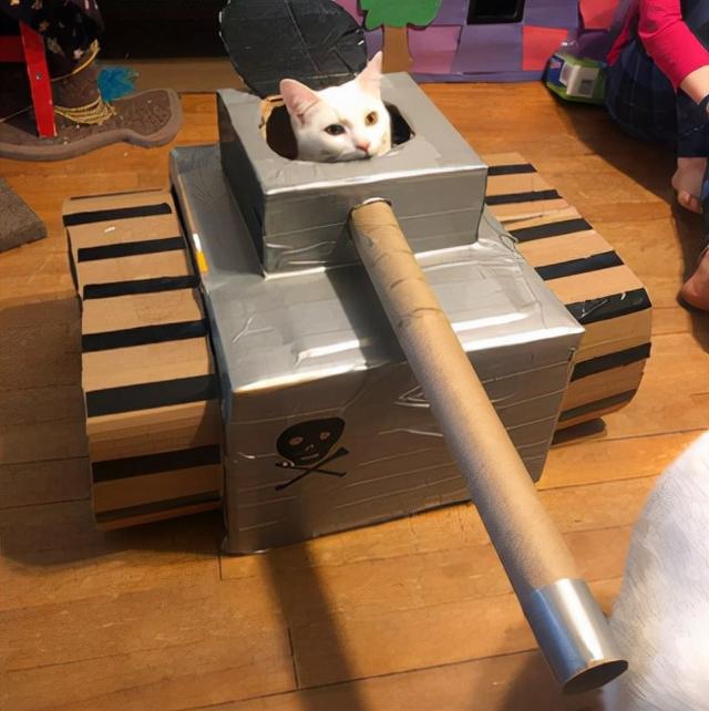 如何用最简单的材料给猫咪做玩具，如何用最简单的材料给猫咪做玩具熊（网友给家里的猫打造纸箱坦克）