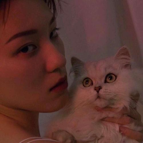 微信英文名字，微信英文名字 昵称 好听（各种类型的微信英文名带翻译）