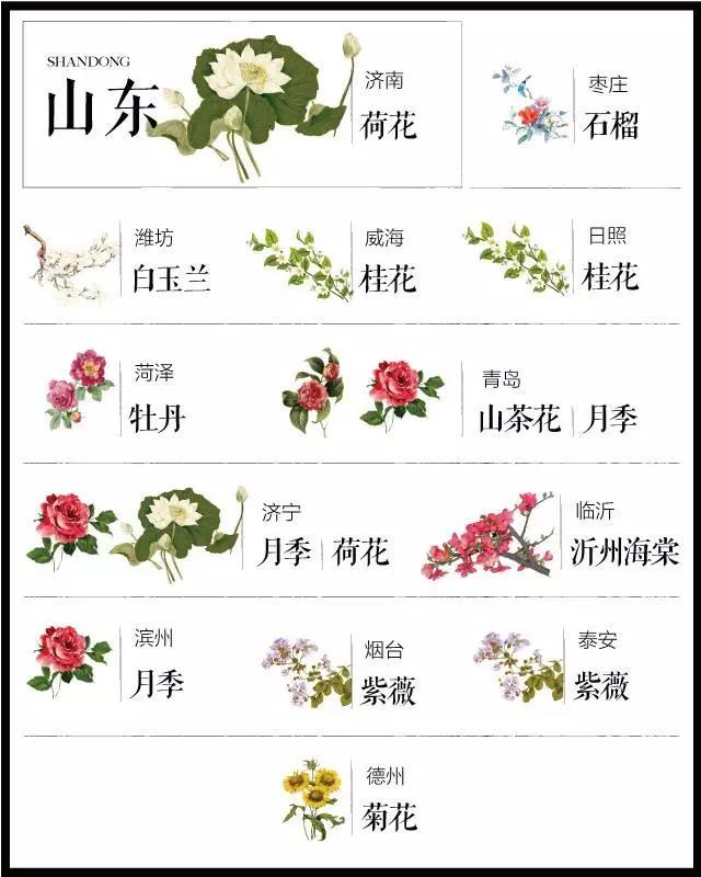 城市的市花有哪些花，关于全国各城市市花及意义