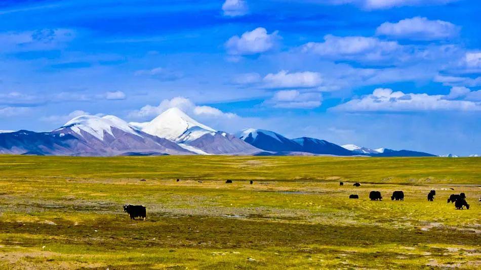 青海旅游攻略必去景点大全（必游的12大景点，少去一个都可惜）