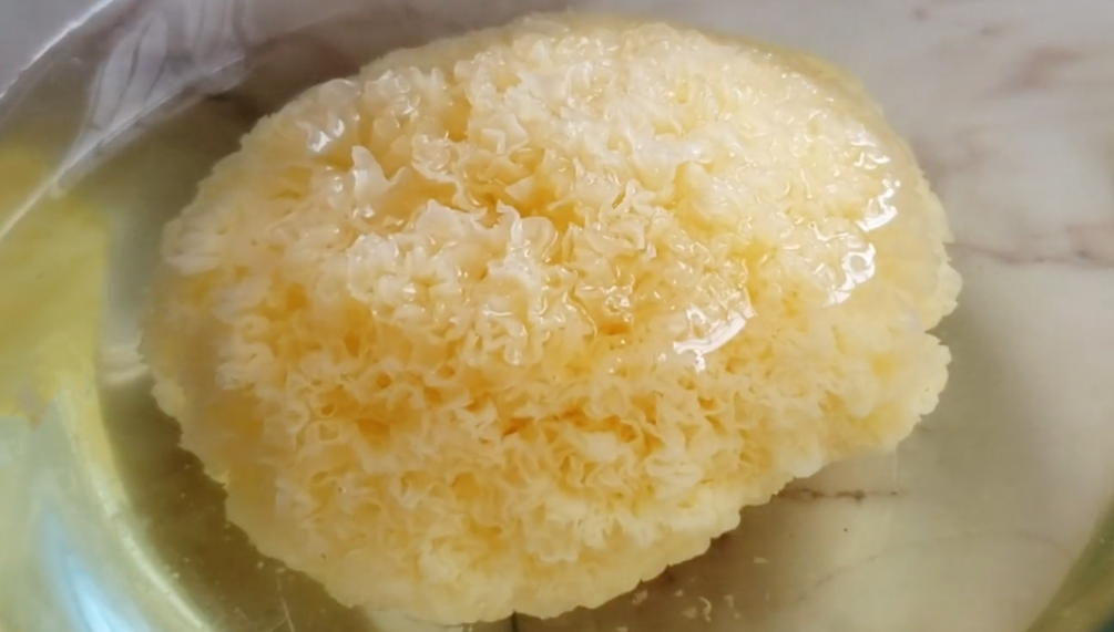 圖片[2]-【桃膠銀耳桂圓湯】做法步驟圖 臉色紅潤(rùn) 越喝人越漂亮-起舞食譜網(wǎng)