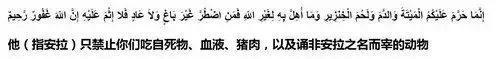 伊斯兰教禁忌（伊斯兰信徒为何不吃猪肉?）