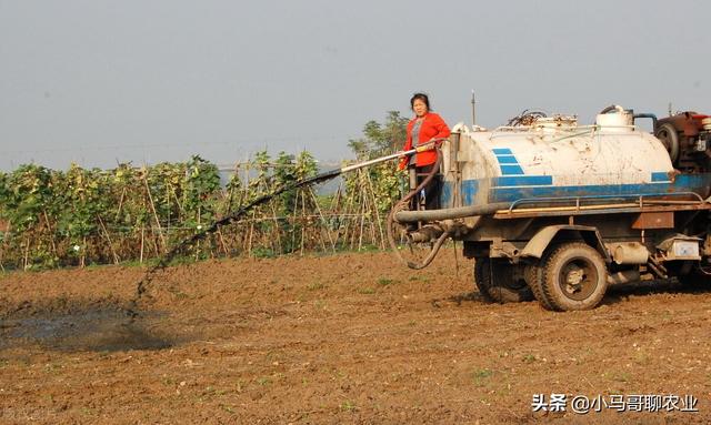 二铵的主要成分含量是什么，二铵的原料是什么（二铵产量高不高）