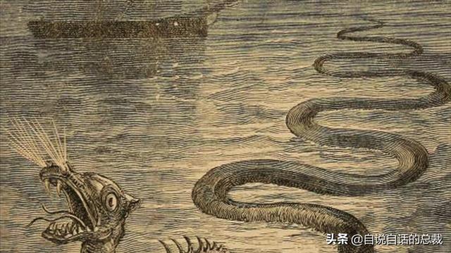 十大怪异鲨鱼，10000米长的蜈蚣（背后隐藏着一个人类起源的故事）