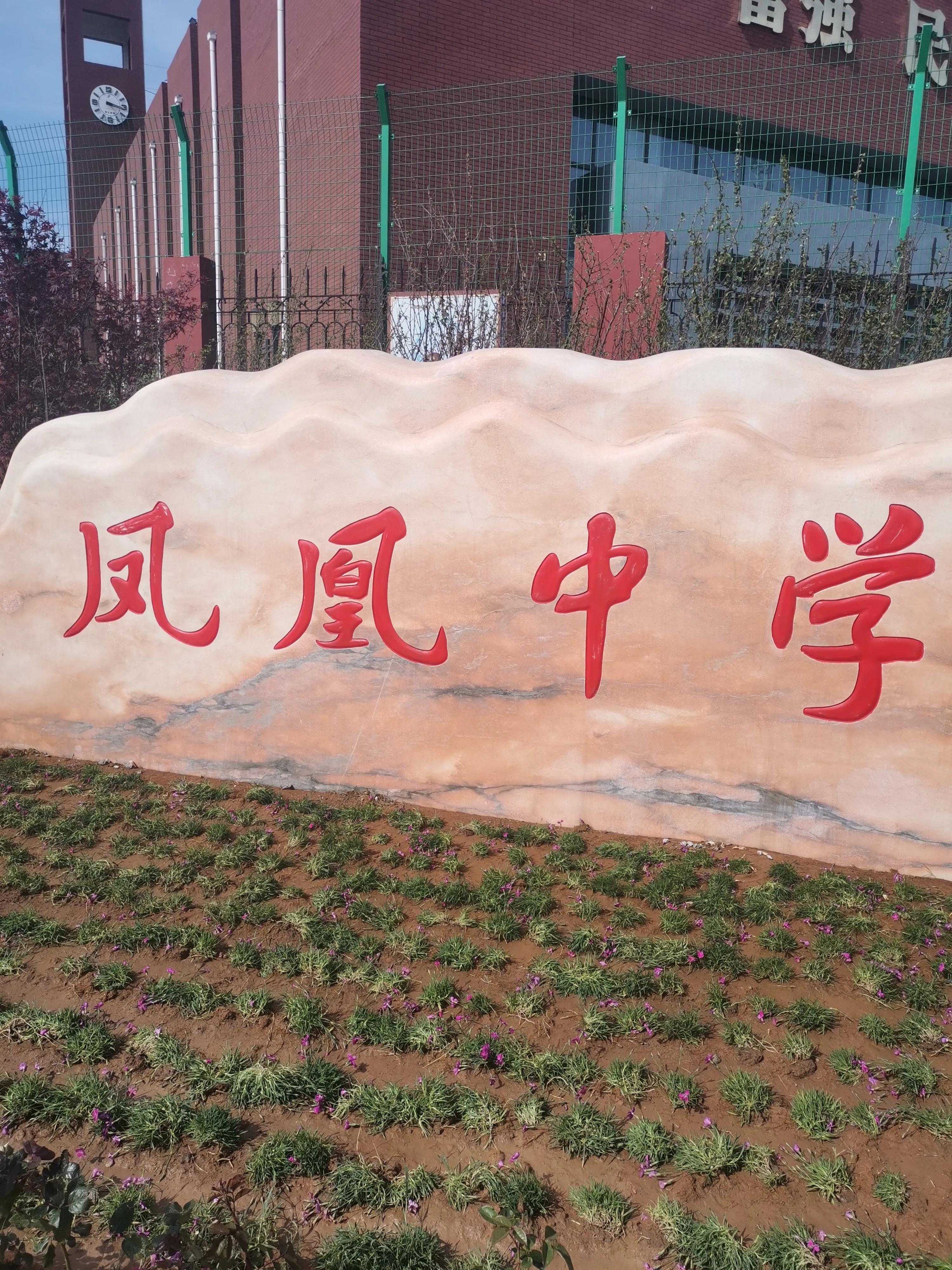 唐山的学校（今年唐山市区中考各个学校表现如何）