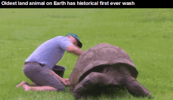 英国的国宝是什么动物，加拿大的国宝是什么动物（从道光时期活到现在）