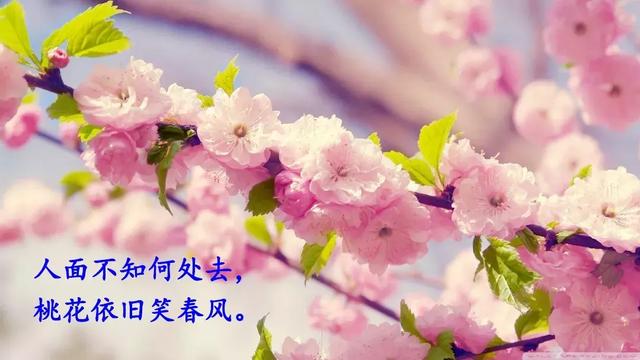 村的组词有哪些，村的组词有什么（部编语文二年级下册课文1、古诗二首）