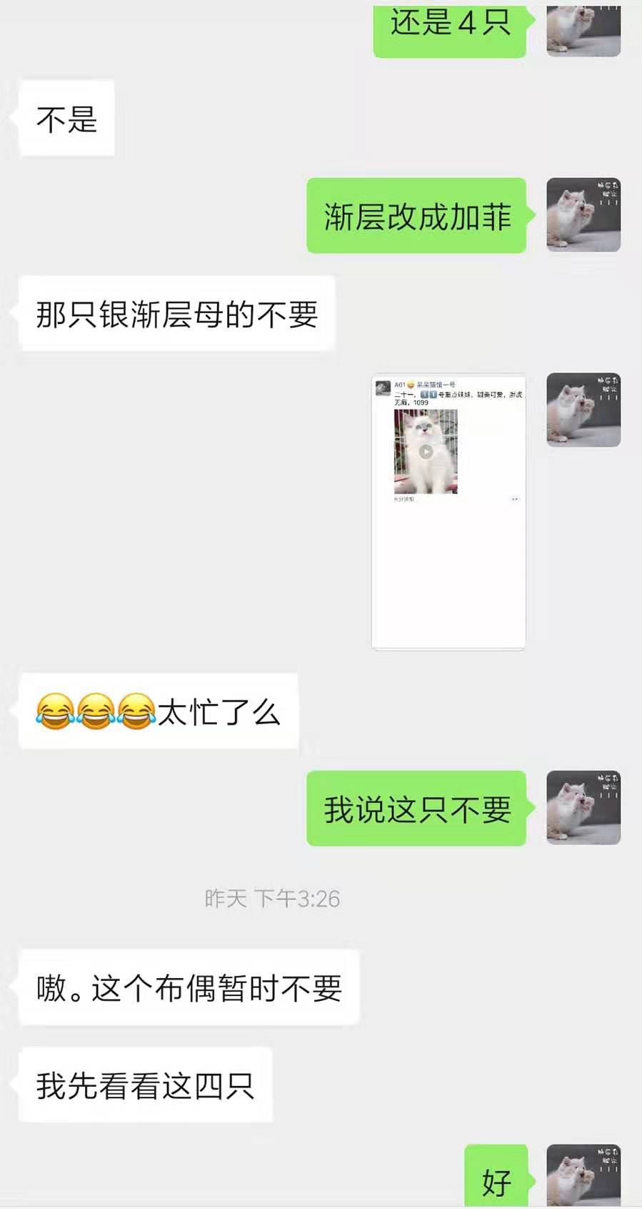 交易猫进货多少钱 交易猫要多少手续费