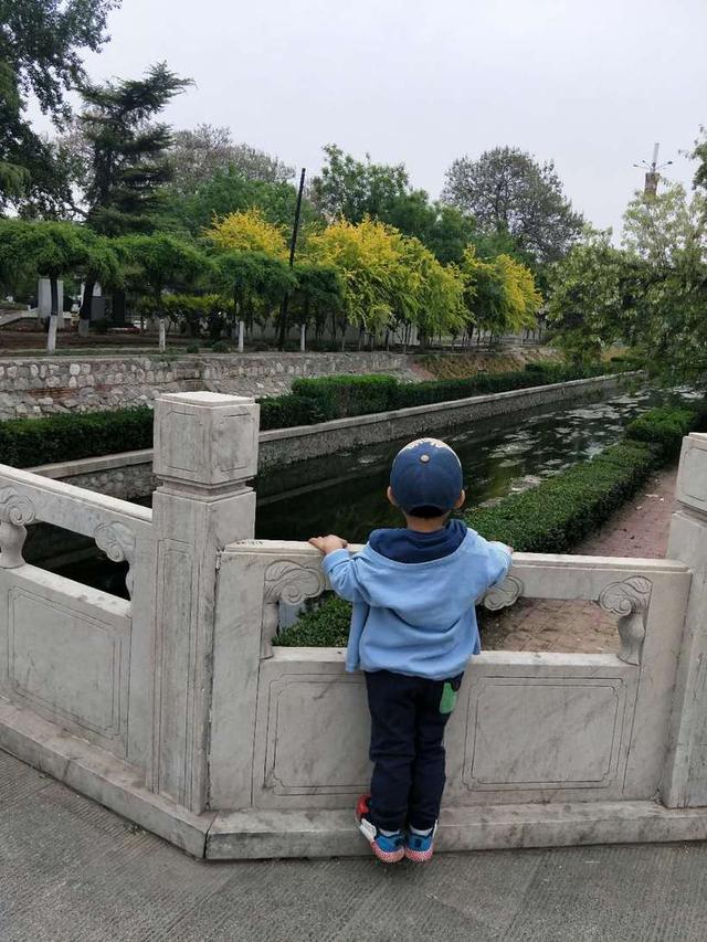 保定动物园里这几种动物特别有意思，保定市哪个动物园好玩（亲子逛吃逛吃逛吃~~）
