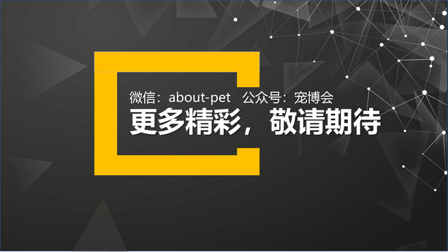 如何挑选布偶猫幼猫，简单几招学会挑选心仪的布偶猫