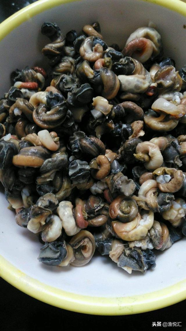 诱捕黄鳝最有效的方法，分享测试了一年的主诱黄鳝的诱饵配方