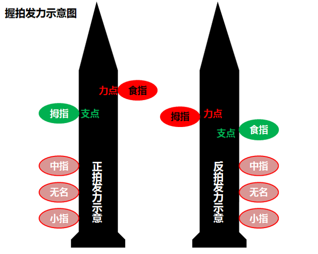 羽毛球握拍姿势图解法，羽毛球拍的正确握法（史上最详细羽毛球握拍大法）