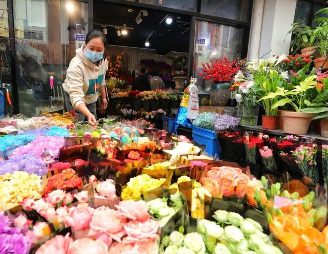 上海哪里有比较好的花鸟市场，上海哪里有比较好的花鸟市场地址（上海市中心最大花鸟市场为何兴旺了20年）