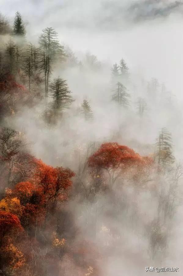 超唯美的风景图，最唯美风景图片（度一场清欢——意境山水）