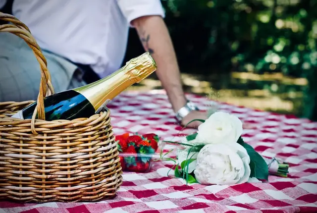 picnic是什么意思，picnic意思（最野的野餐，只在朋友圈里）