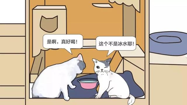 如何做一个定制猫窝，如何制作一个猫窝（看百度工程师研发的流浪猫智能猫窝）