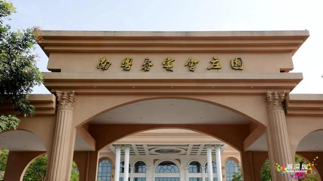 生熟地龙骨汤的功效，深圳粤菜大师带你揭秘背后的匠心