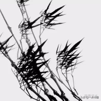 国画竹子的画法，水墨竹子的画法（国画教程——怎样画竹<提高篇）