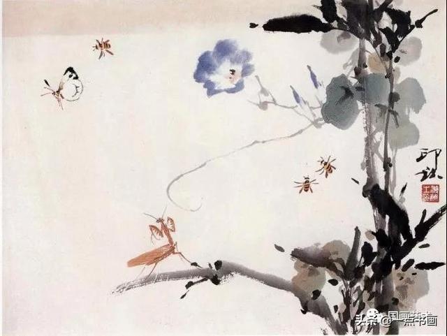 金凤花，萧朗教你画花卉——牵牛花画法（金凤花效应）