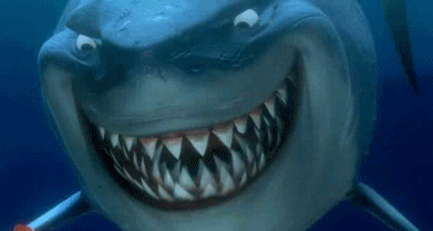 鲨鱼是不是鱼，为什么潜水员可以和鲨鱼接触（鲨鱼鱼是鱼吗 为什么）