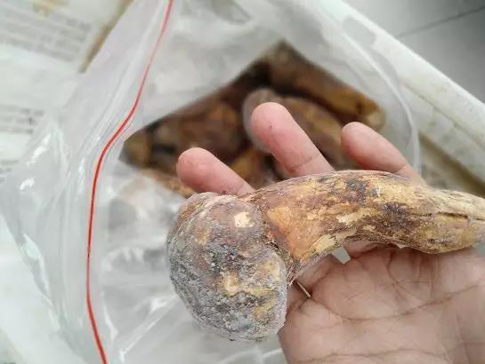 松茸怎么保存，松茸怎么保存冰箱（家有松茸，怎么保存）