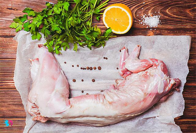 吃兔子有什么大忌，吃兔子有什么禁忌（兔肉滋补营养，怎么做好吃）