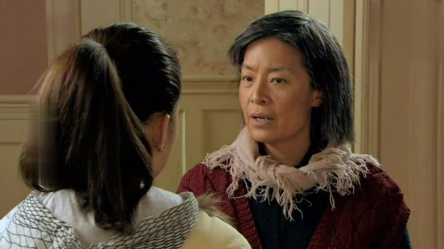 婆婆来了分集剧情，婆婆来了电视剧分集剧情（何琳算计王传志净身出户）