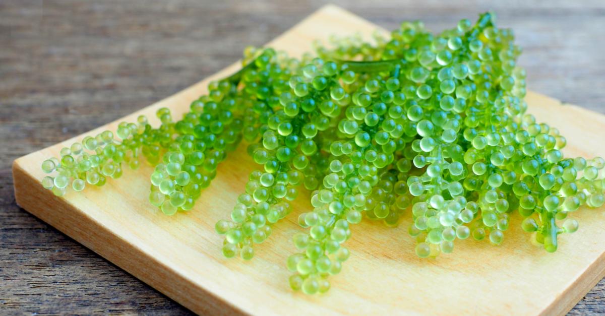 鳇呔子是什么梗，鱼子酱终极美食指南来了