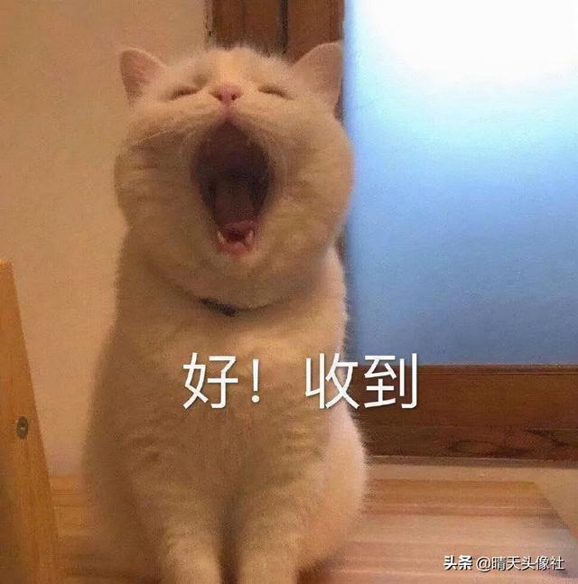 表情包啊啊啊，微信头像，表情包啊啊啊（表情包 ， 女孩就要酷一点）